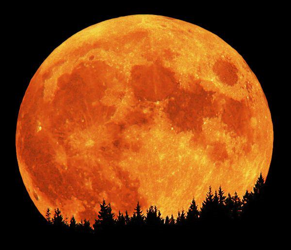 ✨🌕✨ The Super Moon—A Time for Bold Action ✨🌕✨